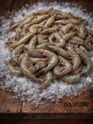 Chilled King Prawns (3kg Box)