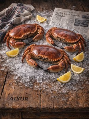 Whole live brown crab