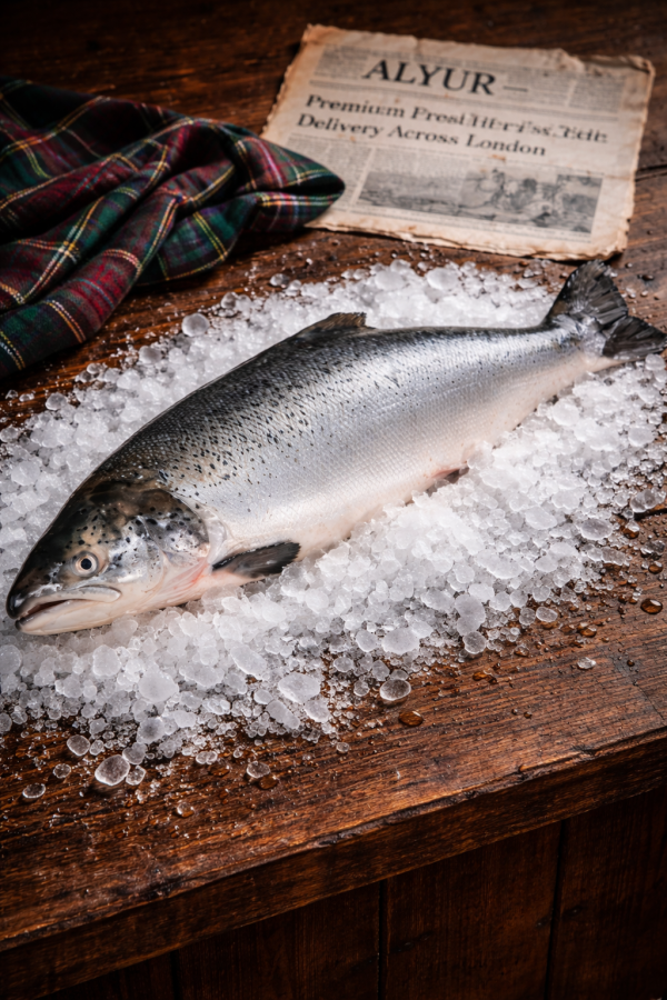 Whole Scottish Farmed Salmon, 2.5kg ~ 8.0kg, price per kg