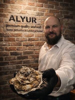 Oysters No2 Gillardeau – Renowned as the “Rolls Royce” of oysters (France), 24/box